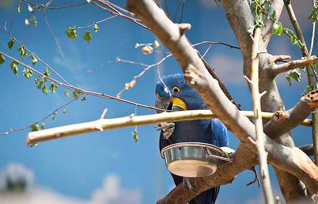 代充平台推荐的短信压力测试器